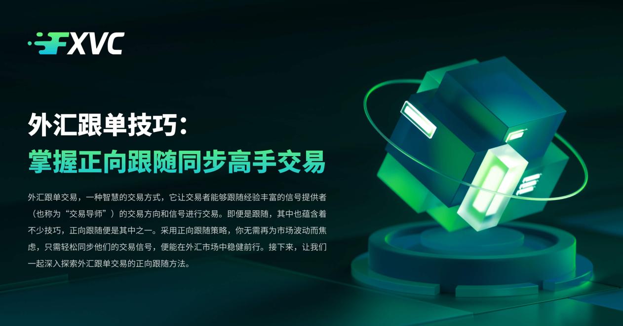 �������ôӮǮ